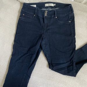 Torrid Jeggings